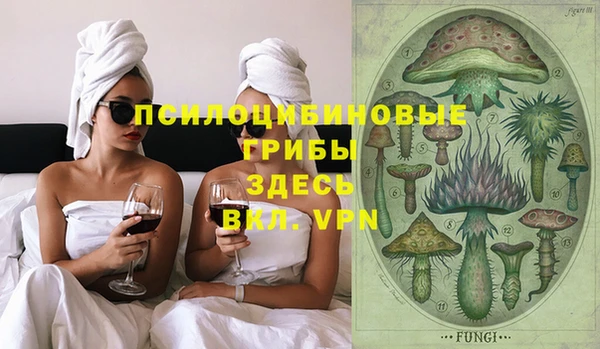 гашик Алексеевка