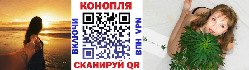 Канабис MAZAR  Муравленко 
